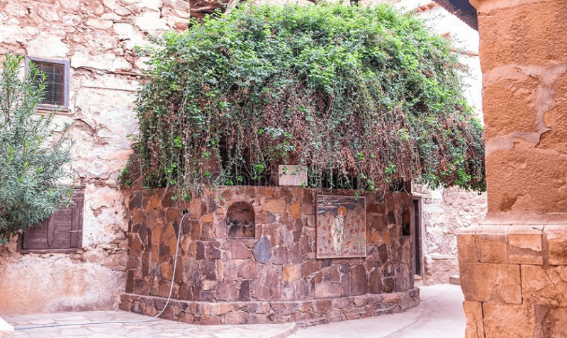 Tour Monte di Mosè e Santa Caterina da Sharm