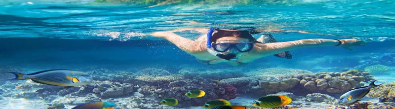 Charm el-Cheikh : Top activités & attractions