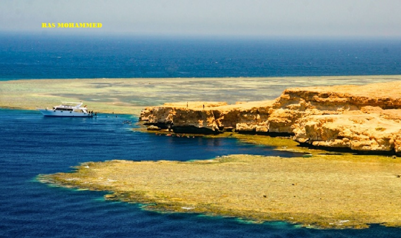 Excursión de snórquel al Parque Nacional de Ras Mohammed desde Sharm Marina