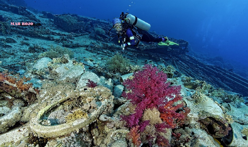 Excursión de snórquel al Parque Nacional de Ras Mohammed desde Sharm Marina