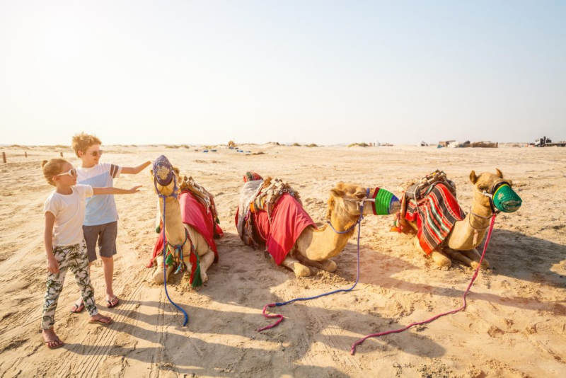 https://www.worldtouradvice.com/files/large/Cavalcare i cammelli in Egitto: Esperienza autentica nel deserto https://www.worldtouradvice.com/files/large/Cavalcare i cammelli in Egitto: Esperienza autentica nel deserto