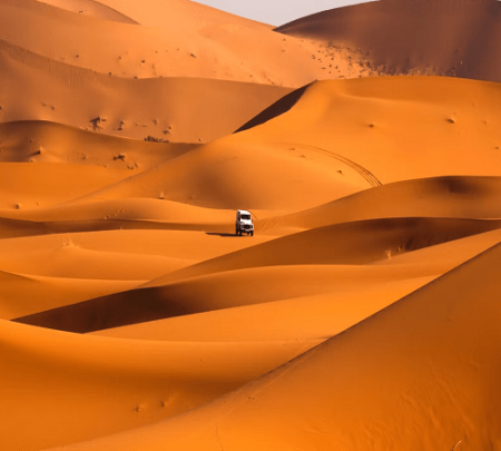 Abu Dabi Safari en el Desierto
