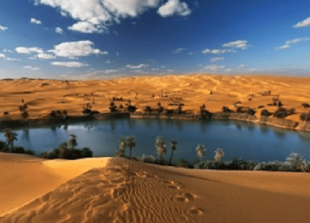 Tour Oasi Egitto, Deserto Safari