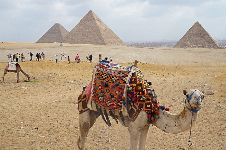 Egypt Tour Packages from All the world