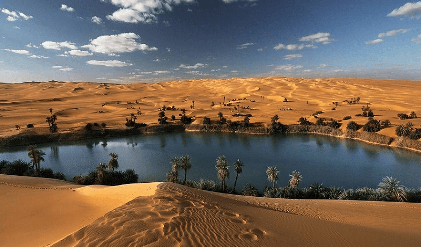 Safari tour al deserto bianco e nero in Egitto Safari tour al deserto bianco e nero in Egitto