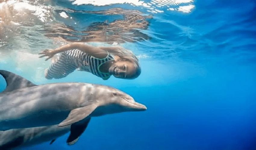 Snorkling Tour All'isola Giftun Da Hurghada Snorkling Tour All'isola Giftun Da Hurghada