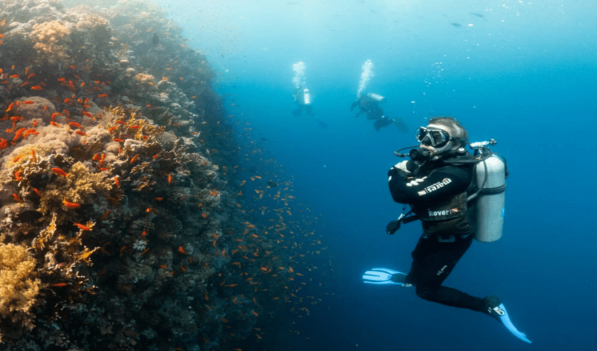 Snorkling Trip To the The Tropical island Hamata From Marsa Alam