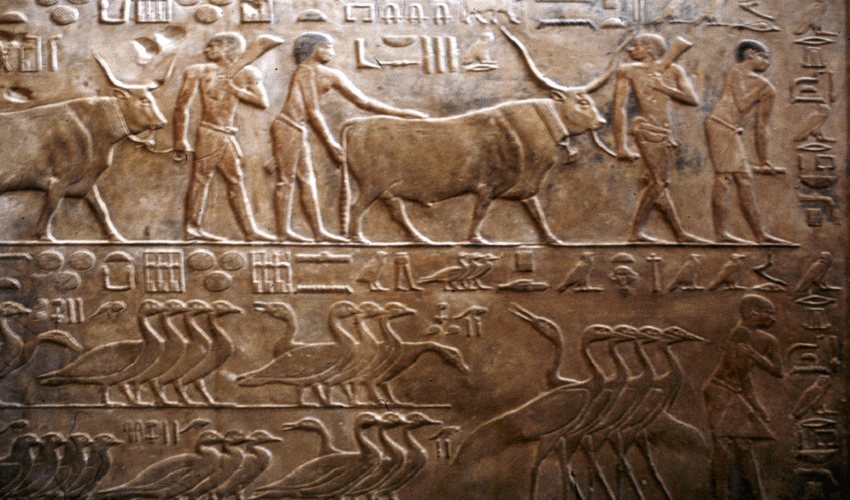 Tour Piramidi egiziane da Porto Sokhna