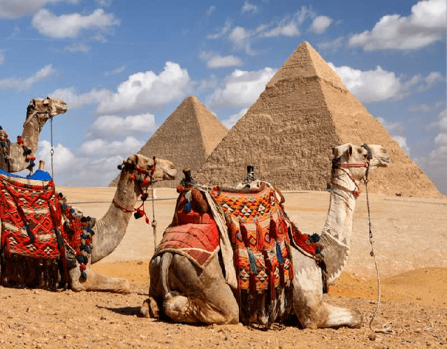 Una Cammellata alle Piramidi del Giza Una Cammellata alle Piramidi del Giza