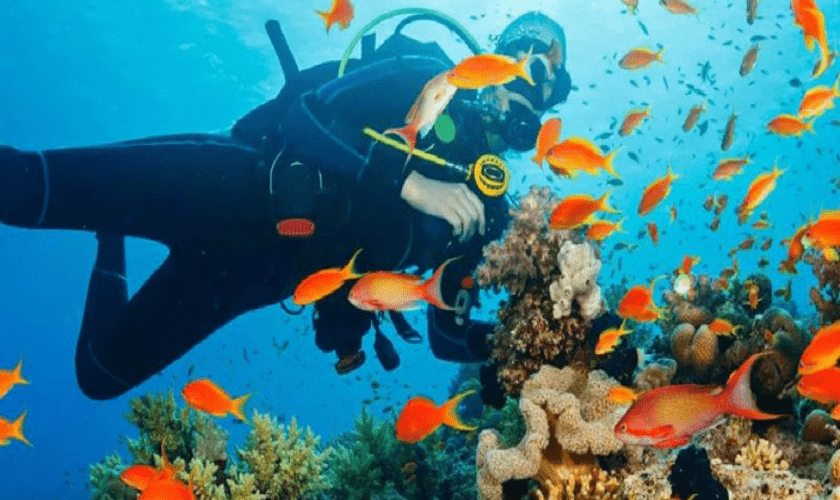 Sharm El Sheikh All Inclusive