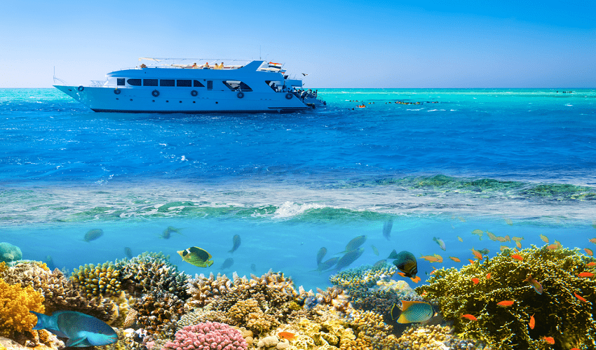 Snorkeling a Ras Mohamed dalla Marina Di Sharm