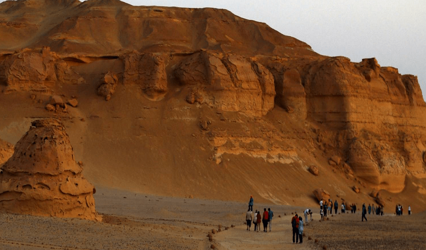 Viaggio dal Cairo a Wadi Hitan, Valle di balene