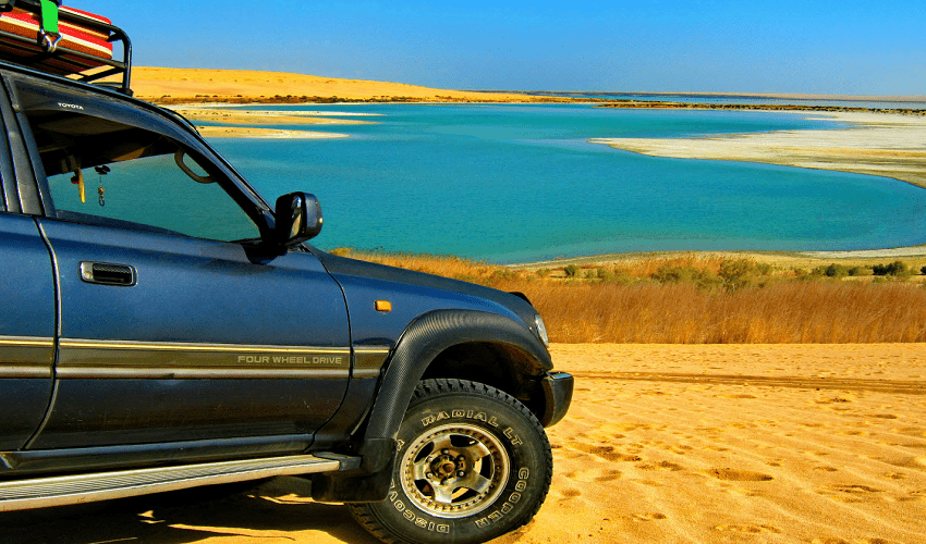 Tour Valle di balene e Oasi Fayoum