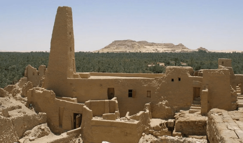 El Alamein tombs and Siwa oasis Tour