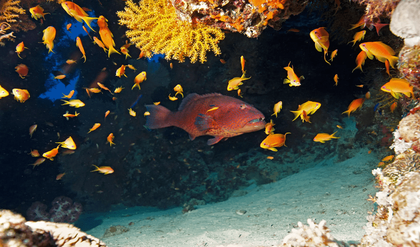 Hurghada Family Holidays