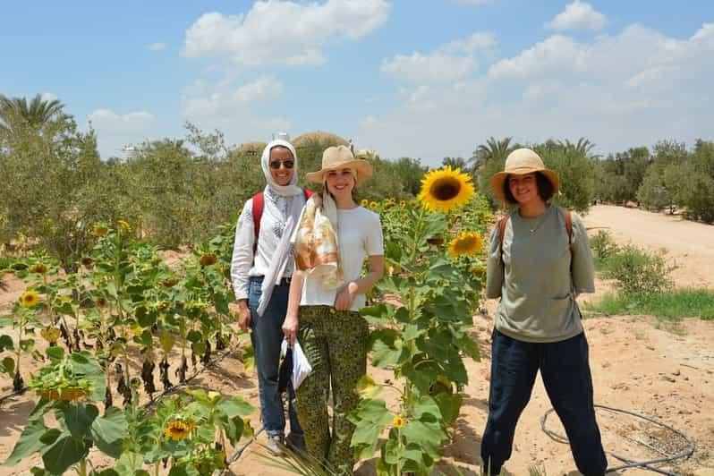 Tour to Egyptian village (countryside)