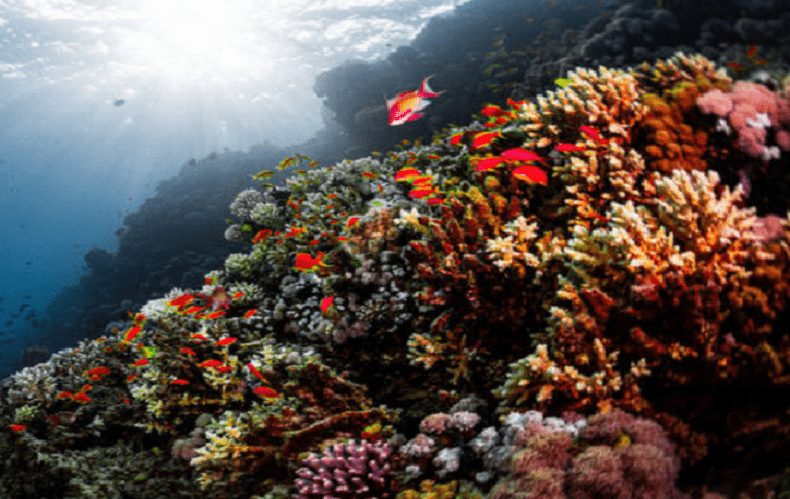 Dahab The Three Pools Snorkeling Tours