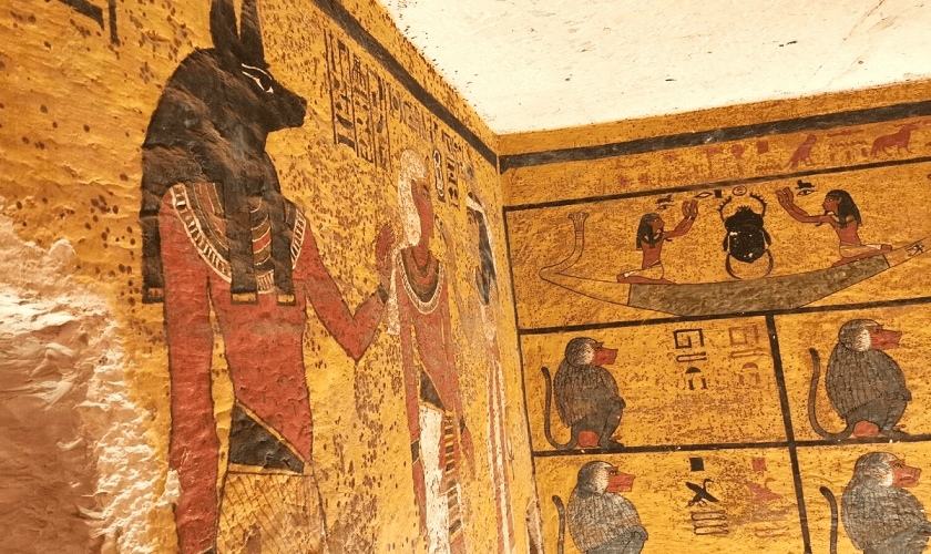 Luxor Nile Cruise To Aswan Valley of Kings Tour Luxor Nile Cruise To Aswan Valley of Kings Tour