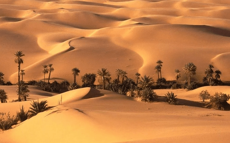 El Baharyia Oasis Egypt Desert Safari Tours