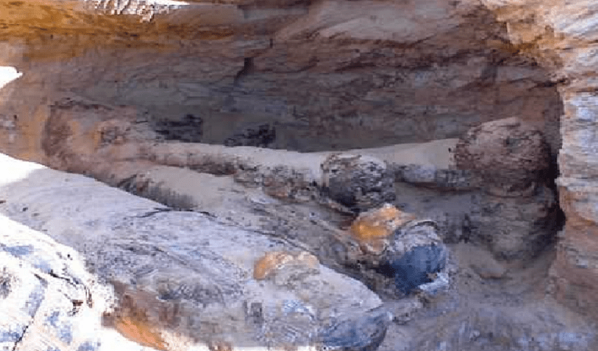 The Golden Mummies Museum in Bahariya Oasis The Golden Mummies Museum in Bahariya Oasis