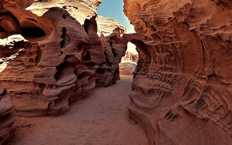 Tour Safari Sinai ed Il Canyon Colorato