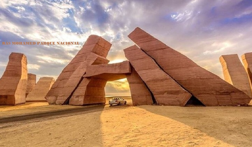 Excursión de snórquel al Parque Nacional de Ras Mohammed desde Sharm Marina