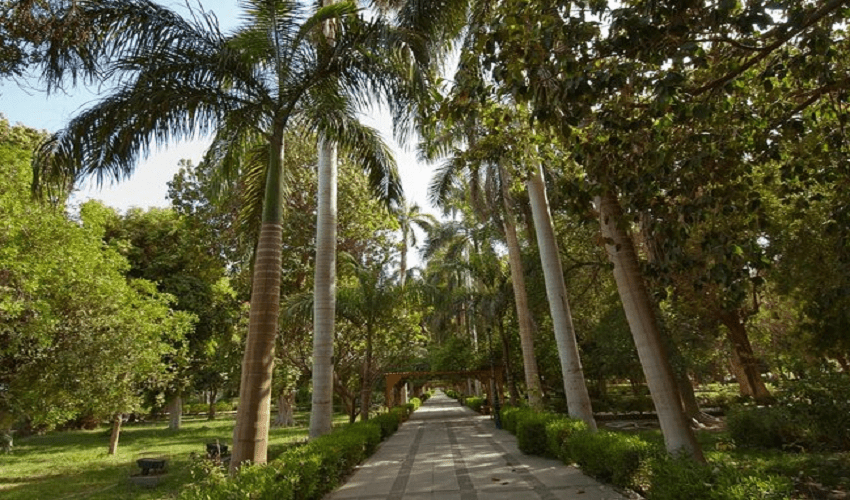Tour al Giardino Botanico di Assuan