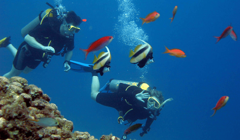 Giftun Island Snorkeling Tour from Hurghada