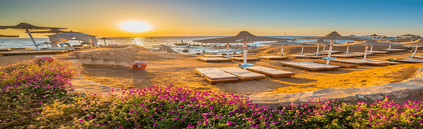 Red Sea Honeymoon Packages