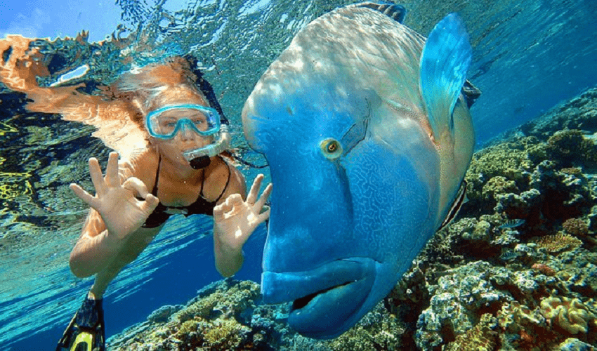 Ras Mohamed Snorkeling Tours from Sharm El Sheikh Marina