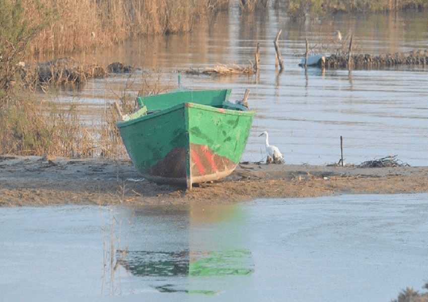Water Wheels fayoum Water Wheels fayoum