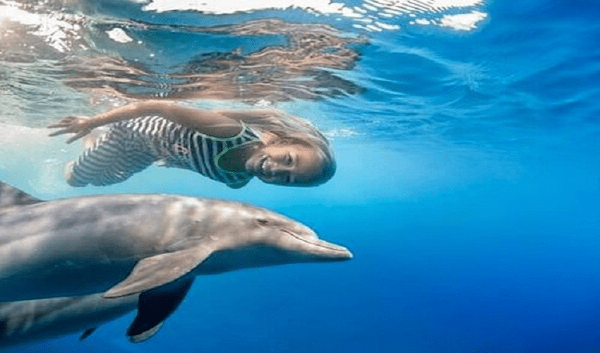 Ras Mohamed Snorkeling Tours from Sharm El Sheikh Marina