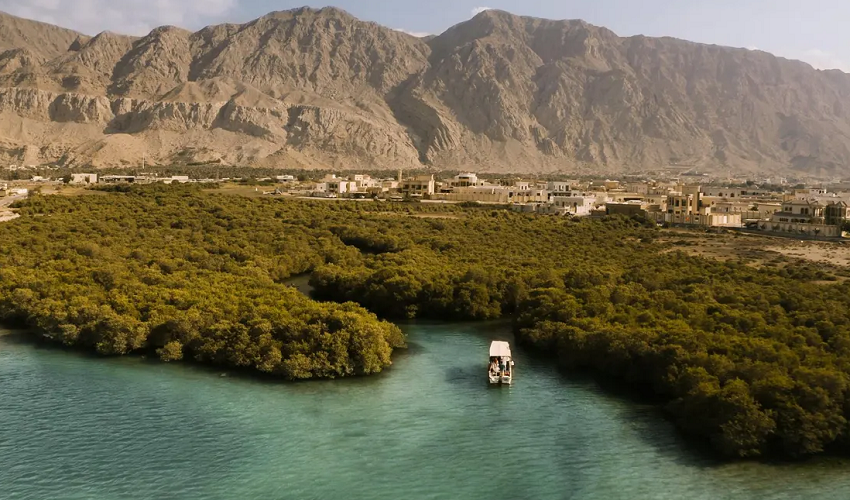 Seis Emiratos Tour desde Dubai