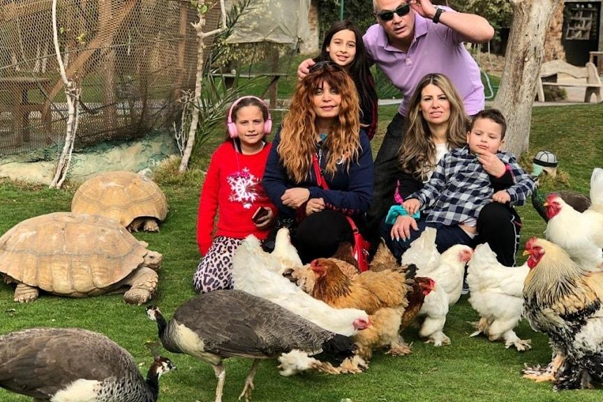 Tour to Egyptian village (countryside)
