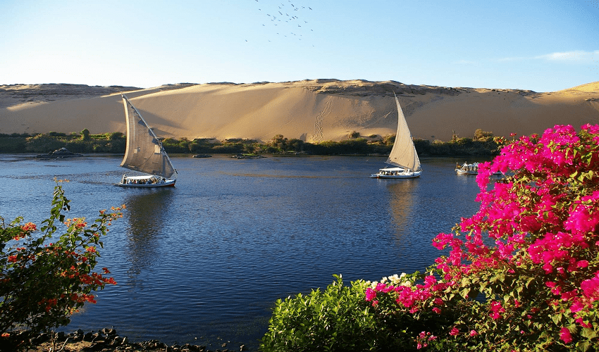 Boatnical Garden, Aswan Attractions Boatnical Garden, Aswan Attractions