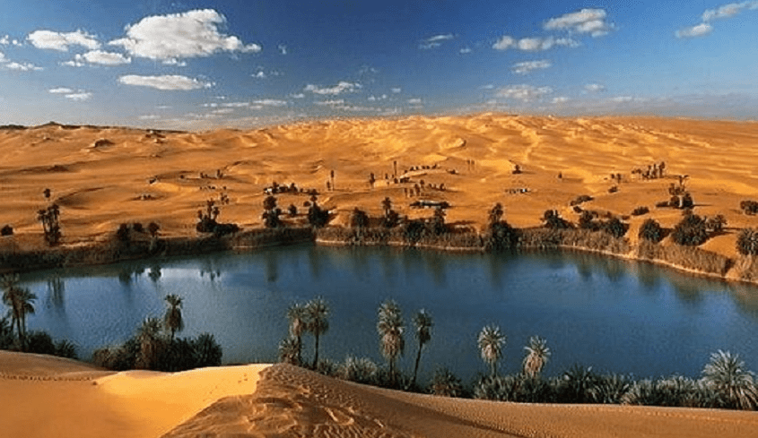 Cairo, Whales Valley and Fayoum Oasis Tour