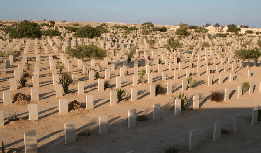 Tour El Alamein Da Alessandria 