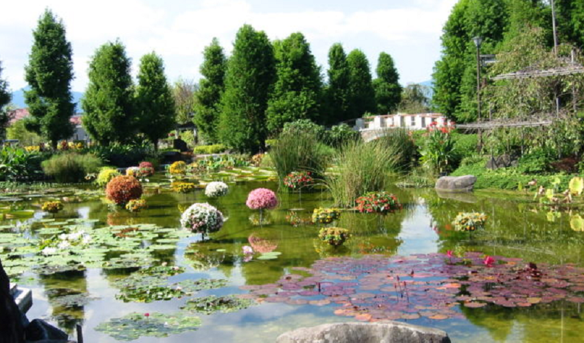 il giaardino botanico di Assuan tour con felucca