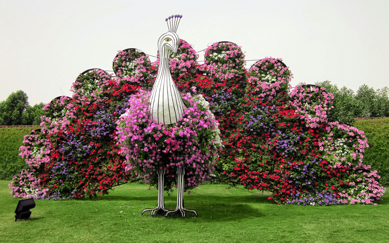 Tour por la ciudad Moderna de Dubai