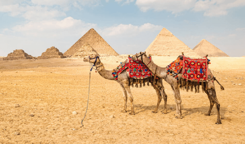 tour alle piramidi da porto said escursioni a terra