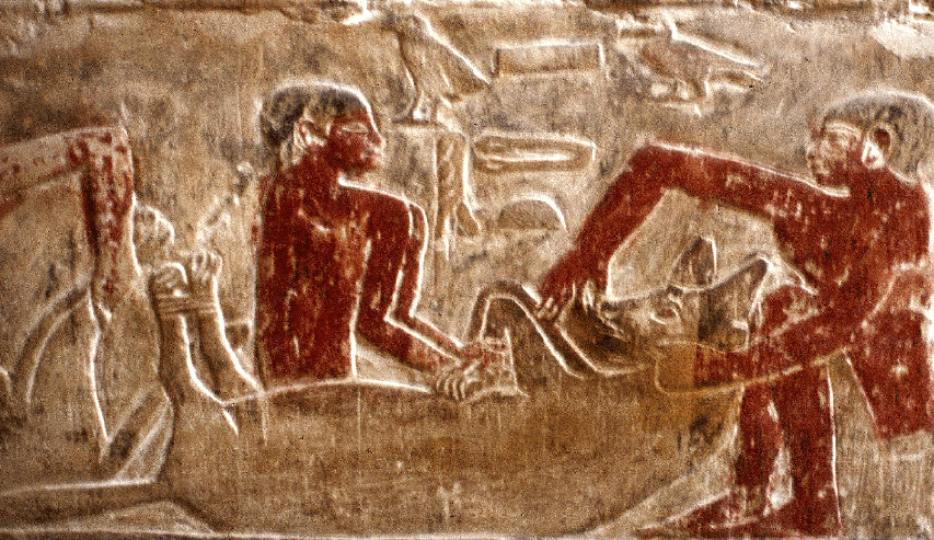 la tomba di mereruca mastaba in Saqqara 