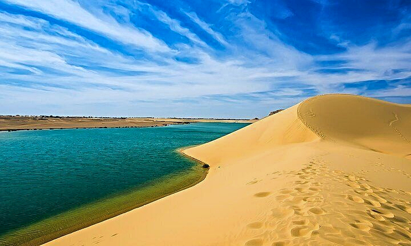 Wadi Hitan National Park Tour from Cairo Wadi Hitan National Park Tour from Cairo