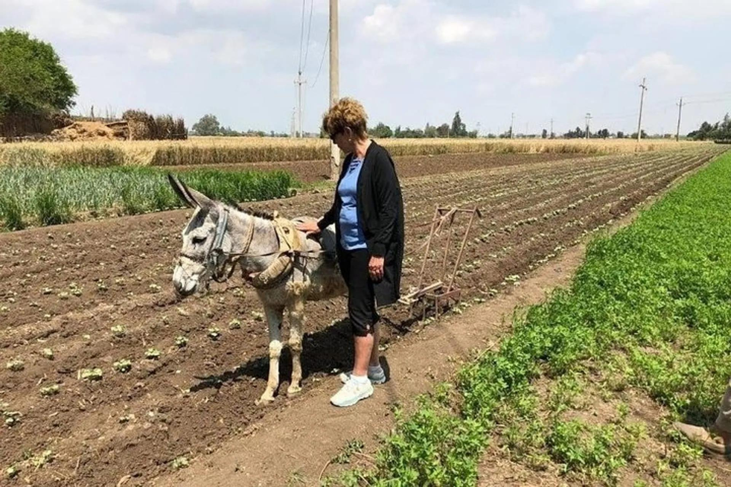 Tour to Egyptian village (countryside)