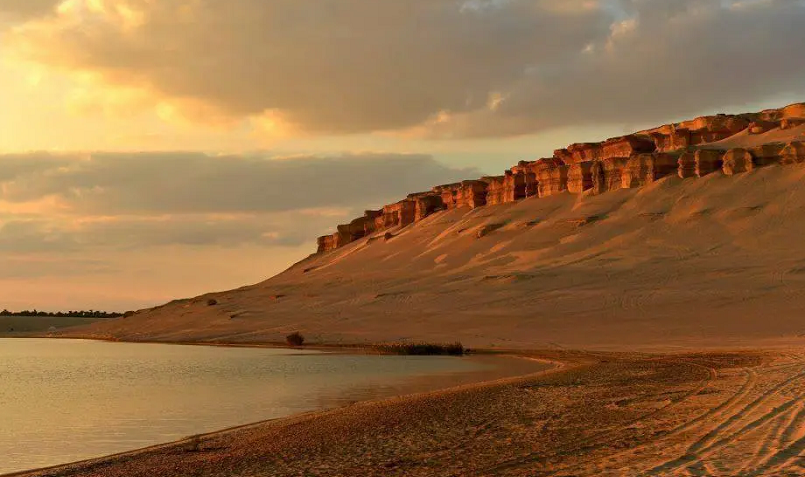 Wadi Hitan National Park Tour from Cairo Wadi Hitan National Park Tour from Cairo