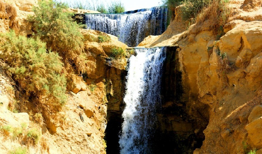 Fayum y Safari en el desierto Egipcio