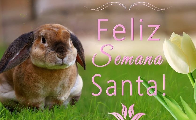 Viaje Egipto Semana Santa al Mar Rojo Sharm El Sheikh