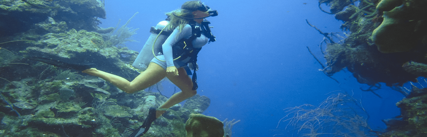 Sharm, Cairo and Bahariya Tours