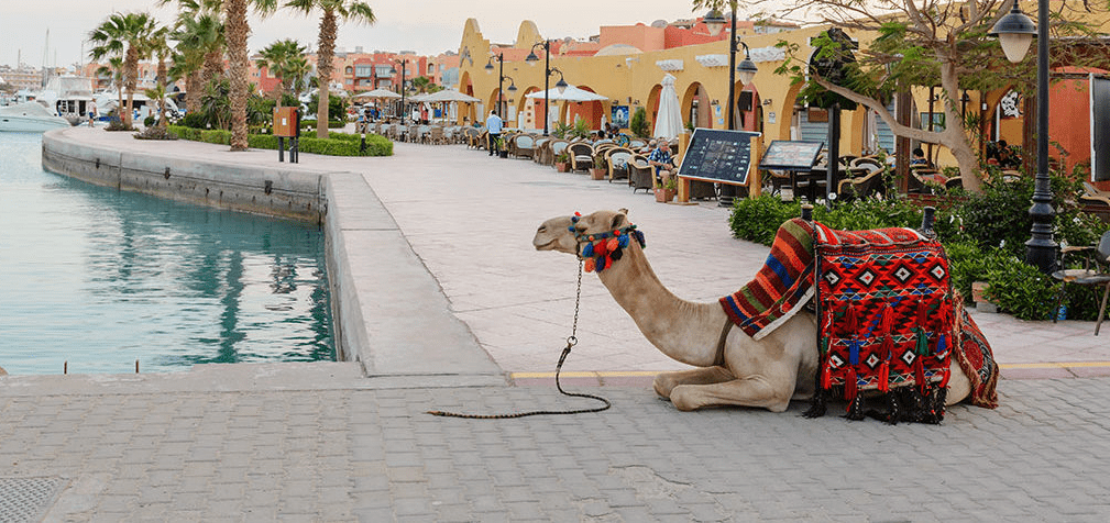 Escursioni a Hurghada da Porto Safaga