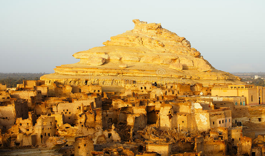 Siwa Medical Safari Tours