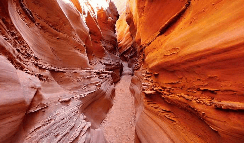 Tour Safari Sinai ed Il Canyon Colorato